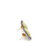 Yellow Sapphire Diamond Earrings set in 14k Gold and 925 Sterling Silver - Image 6